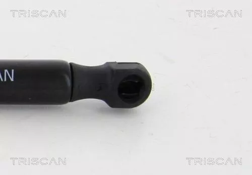 TRISCAN Gas Spring, boot/cargo area (871023244)