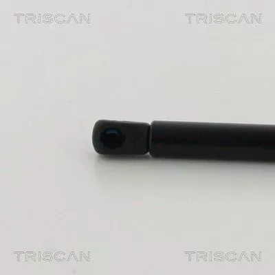 TRISCAN Gas Spring, boot/cargo area (871038245)