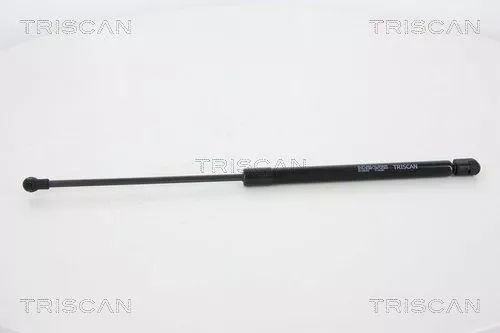 Gas Spring, boot/cargo area