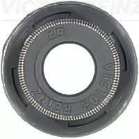Seal Ring, valve stem