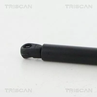 TRISCAN Gas Spring, boot/cargo area (8710292047)