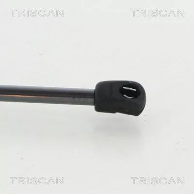 TRISCAN Gas Spring, boot/cargo area (8710292047)