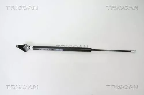 Gas Spring, boot/cargo area