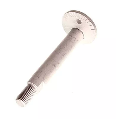 Camber Correction Screw