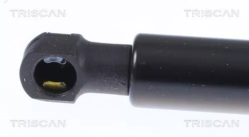TRISCAN Gas Spring, boot/cargo area (871028300)