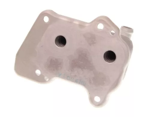 MAXGEAR Oil Cooler, engine oil (14-0089)
