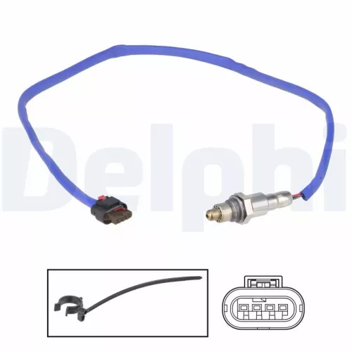 Oxygen Sensor