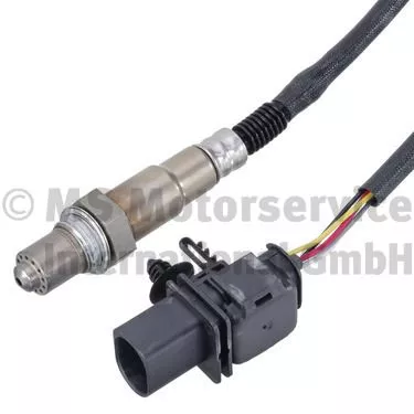 Oxygen Sensor