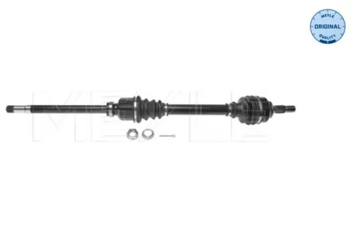 Drive Shaft