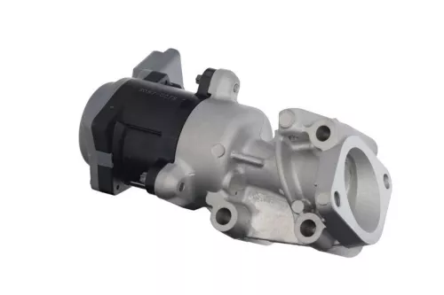 VALEO EGR Valve (700410)