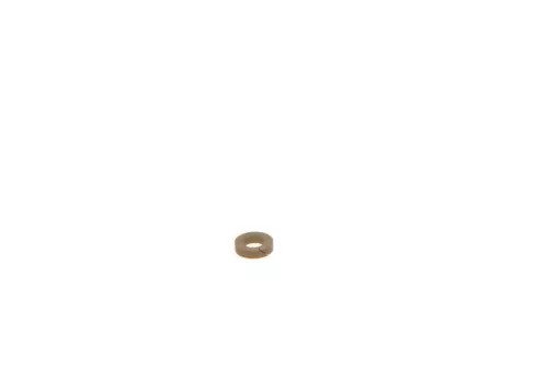 BOSCH Seal Ring (F 00N 000 066)