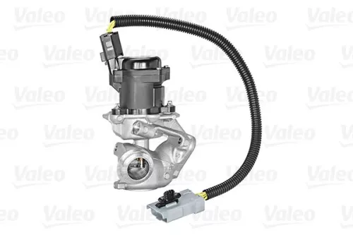 VALEO EGR Valve (700409)