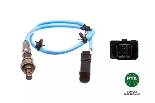 Oxygen Sensor