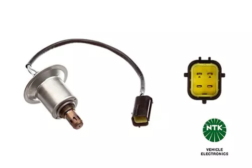 Oxygen Sensor