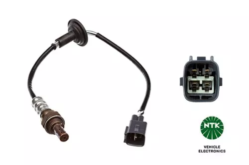 Oxygen Sensor