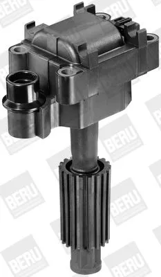 BorgWarner (BERU) Ignition Coil (ZS308)