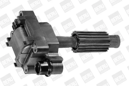 BorgWarner (BERU) Ignition Coil (ZS308)