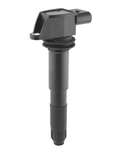 BorgWarner (BERU) Ignition Coil (ZSE012)