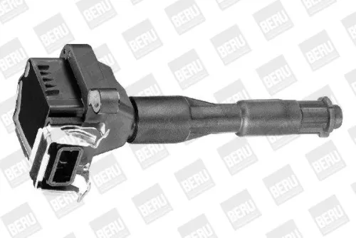 BorgWarner (BERU) Ignition Coil (ZS302)