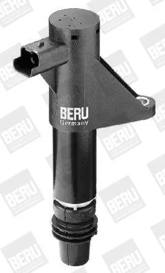 BorgWarner (BERU) Ignition Coil (ZS347)