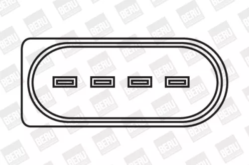 BorgWarner (BERU) Ignition Coil (ZSE041)