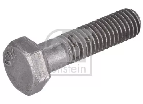 Bolt, tensioner pulley