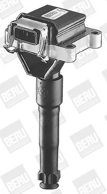 BorgWarner (BERU) Ignition Coil (ZS014)