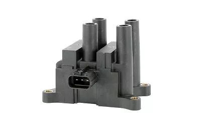 BorgWarner (BERU) Ignition Coil (ZS556)