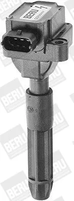 BorgWarner (BERU) Ignition Coil (ZS041)