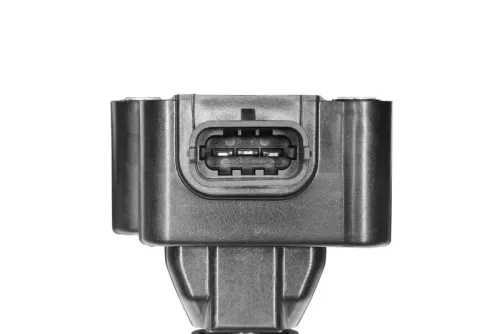 BorgWarner (BERU) Ignition Coil (ZS178)
