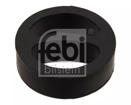 Mount, exhaust system