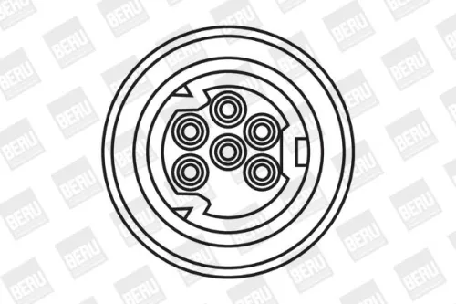 BorgWarner (BERU) Ignition Coil (ZS307)