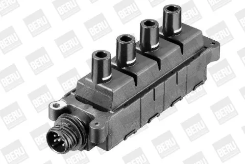 BorgWarner (BERU) Ignition Coil (ZS307)