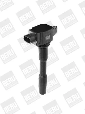 BorgWarner (BERU) Ignition Coil (ZSE131)