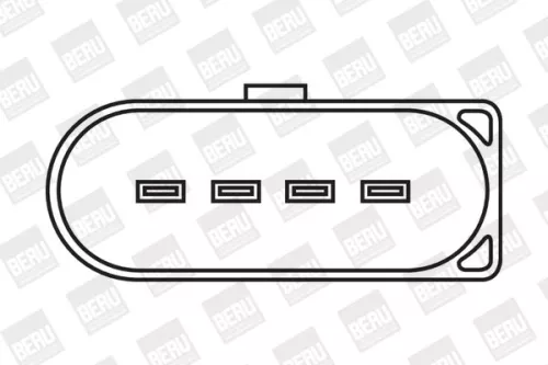 BorgWarner (BERU) Ignition Coil (ZSE009)