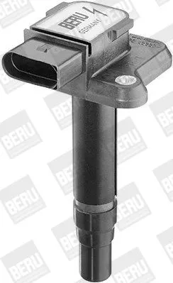 BorgWarner (BERU) Ignition Coil (ZSE009)