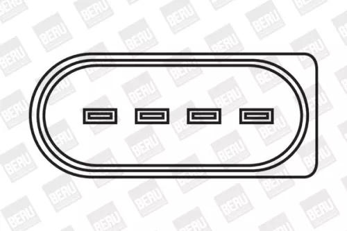 BorgWarner (BERU) Ignition Coil (ZSE061)