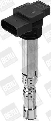 BorgWarner (BERU) Ignition Coil (ZSE031)