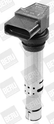 BorgWarner (BERU) Ignition Coil (ZSE030)