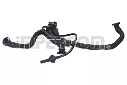 Hose, crankcase ventilation