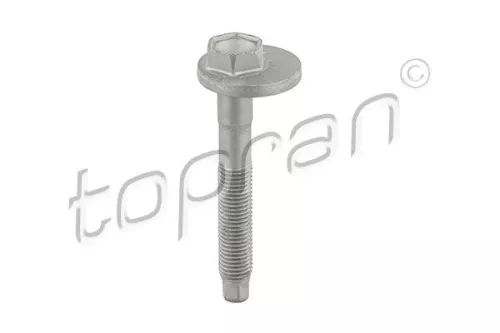 Camber Correction Screw