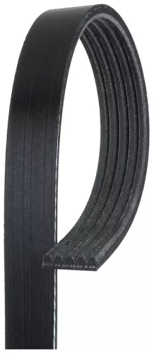Poly V-Belt