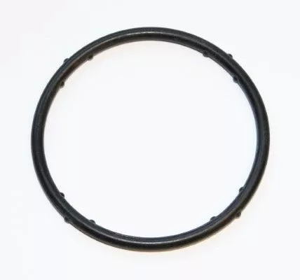 Gasket, coolant flange