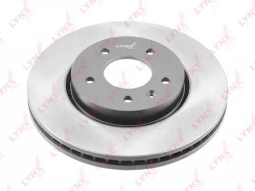Brake disc, front (295x29)