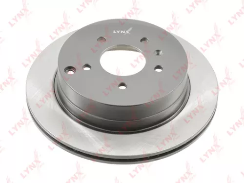 Brake disc, rear (303x20)