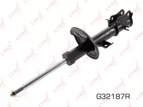 Shock absorber strut gas, right, front