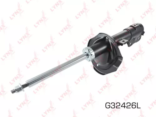 Shock absorber strut gas, left, front