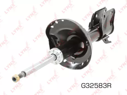 Shock absorber strut gas, right, front