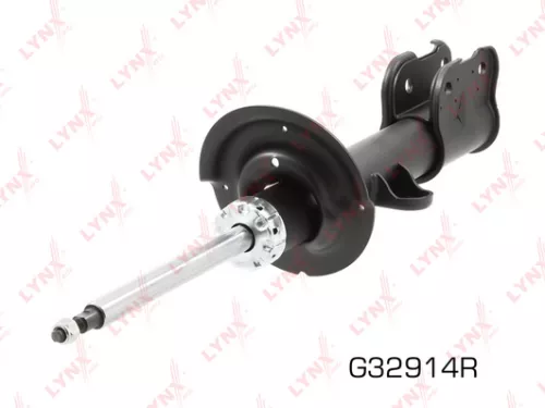 Shock absorber strut gas, right, front